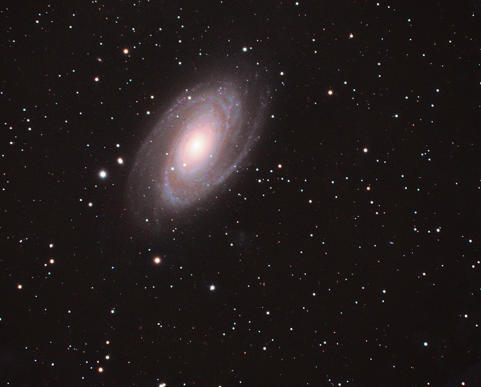 Spiral Galaxy M81