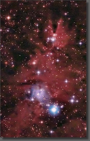 The Christmas Tree Cluster
